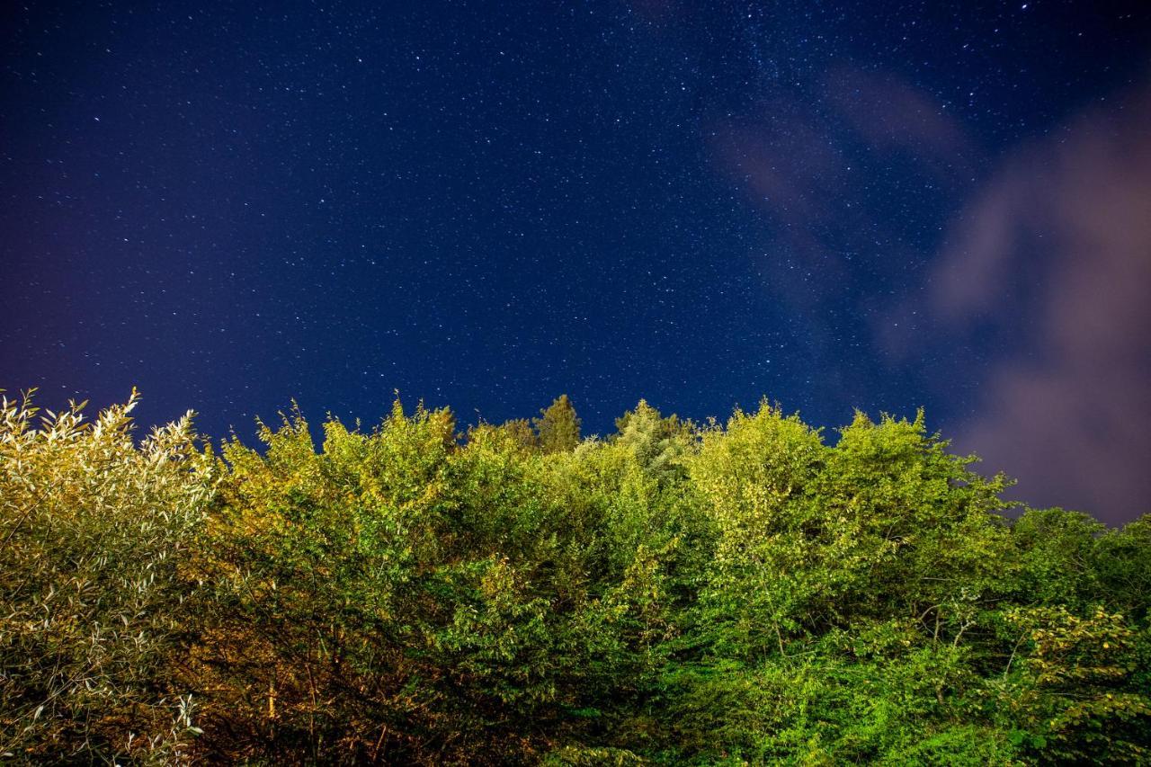 Abant Villa Otel Bolu Dış mekan fotoğraf